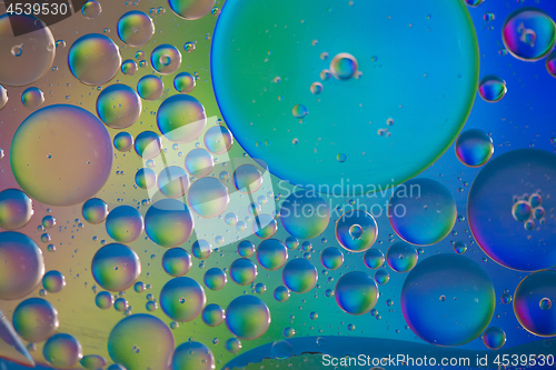 Image of Rainbow abstract background picture made with oil, water and soap