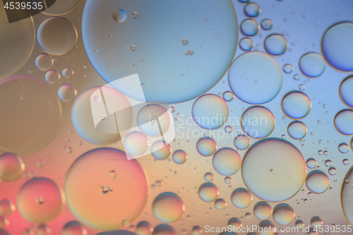 Image of Multicolored abstract background picture made with oil, water and soap