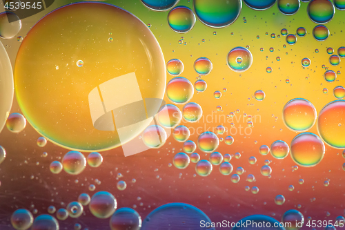 Image of Rainbow abstract background picture made with oil, water and soap