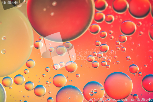 Image of Red and orange abstract background picture made with oil, water and soap