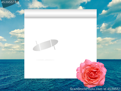 Image of Scroll, rose and sea