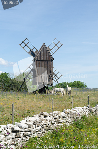 Image of Grazing horses by an old windmill at the island Oland in Sweden