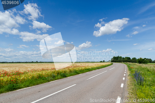 Image of Summer view of a beautiful  country road with blossom road sides