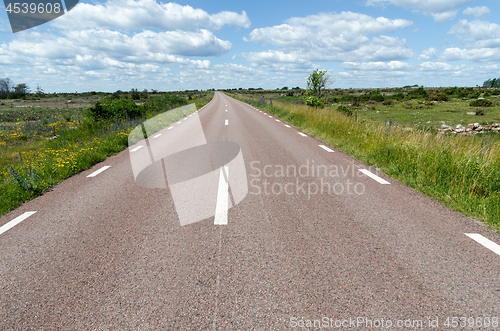 Image of Beautiful road with flowers by road side at the great plain area