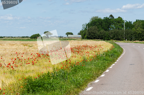 Image of Red poppies in a field by a winding road in the World Heritage  