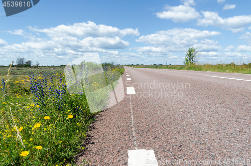 Image of Beautiful blossom road side in a low perspective image