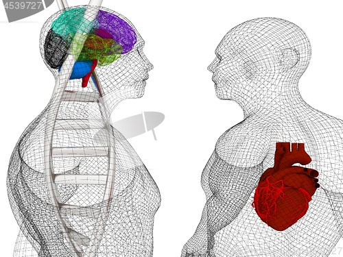 Image of 3D medical background with DNA strands and wire human body model