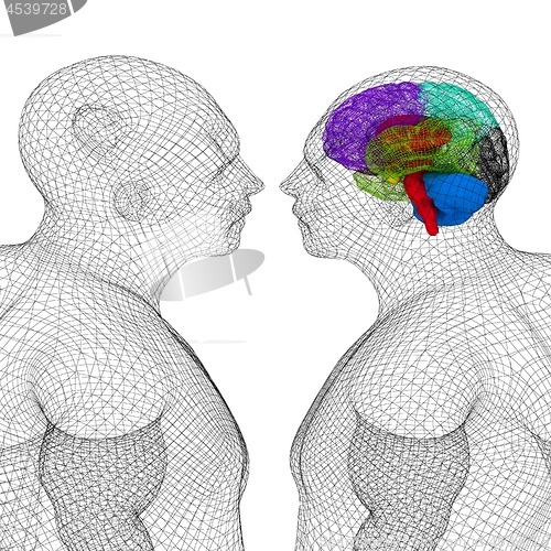 Image of Wire human model with brain and a model of a person without a br