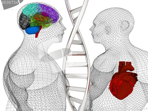 Image of 3D medical background with DNA strands and wire human body model