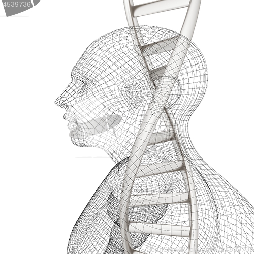 Image of 3D medical background with DNA strands and human. 3d render