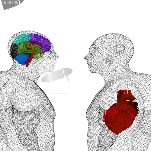 Image of Wire human body model with heart and brain in x-ray. 3d render