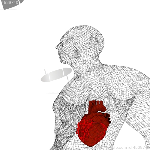 Image of Human Internal Organic - Human Heart, medical concept. 3d render