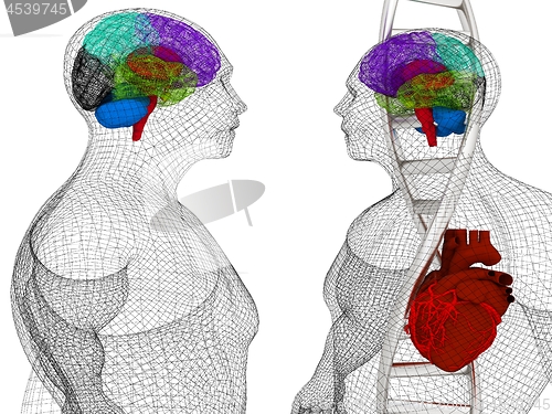 Image of 3D medical background with DNA strands and wire human body model