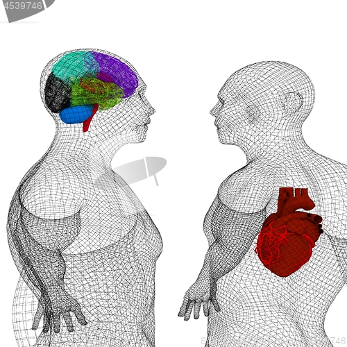 Image of Wire human body model with heart and brain in x-ray. 3d render
