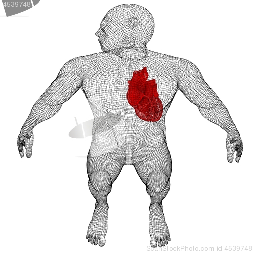 Image of Human Internal Organic - Human Heart, medical concept. 3d render