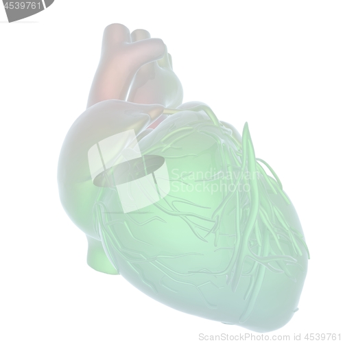 Image of Abstract illustration of anatomical human heart. 3d render