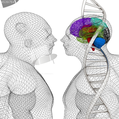 Image of 3D medical background with human, brain and DNA strands. 3d rend