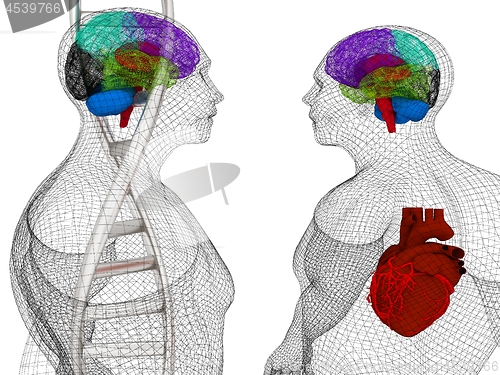 Image of 3D medical background with DNA strands and wire human body model