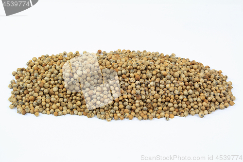 Image of Seeds of coriander on pile. 