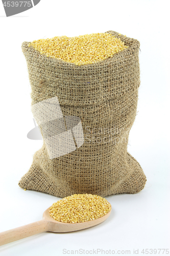 Image of Millet grains in burlap bag and over wooden spoon. 
