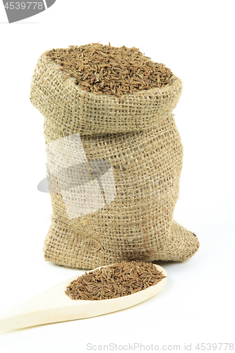 Image of Caraway seeds in burlap bag and over wooden spoon. 