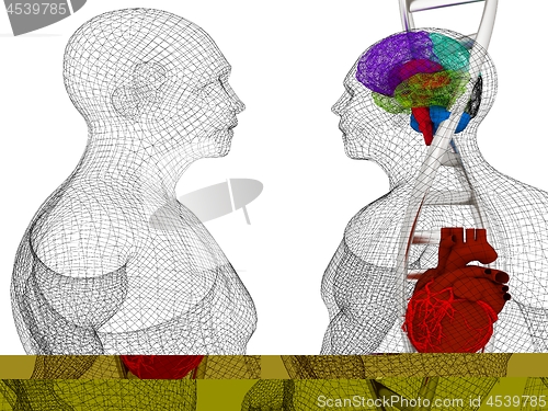 Image of 3D medical background with DNA strands and wire human body model