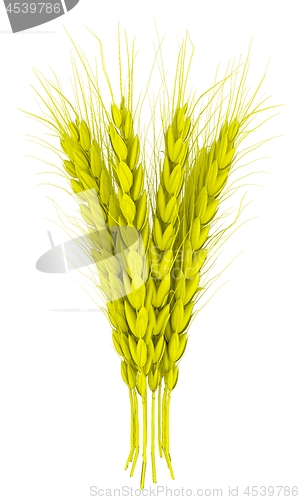 Image of Wheat ears spikelets with grains. 3d render