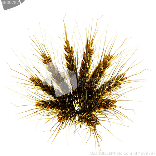 Image of Golden spikelet. 3d render