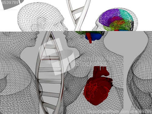 Image of 3D medical background with DNA strands and wire human body model