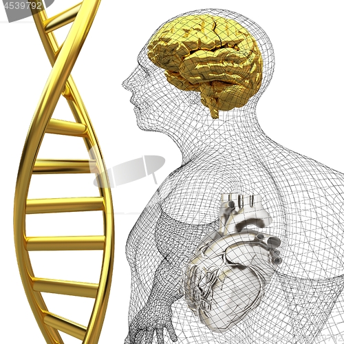 Image of 3D medical background with DNA strands and wire human body model