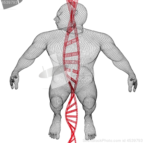 Image of 3D medical background with DNA strands and human. 3d render