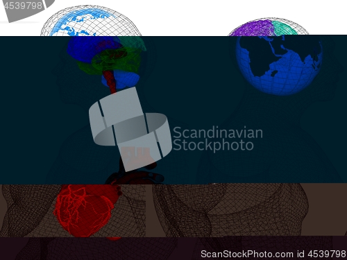 Image of Wire human body model with heart and brain in x-ray. 3d render. 