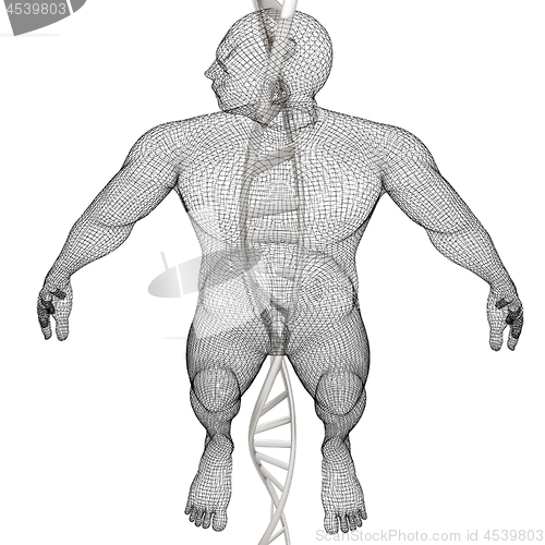 Image of 3D medical background with DNA strands and human. 3d render