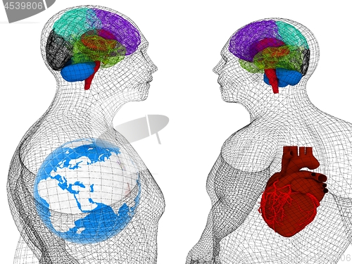 Image of Wire human body model with heart and brain in x-ray. 3d render. 