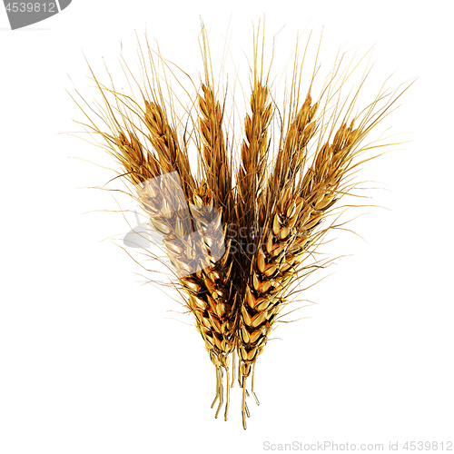 Image of Golden spikelet. 3d render