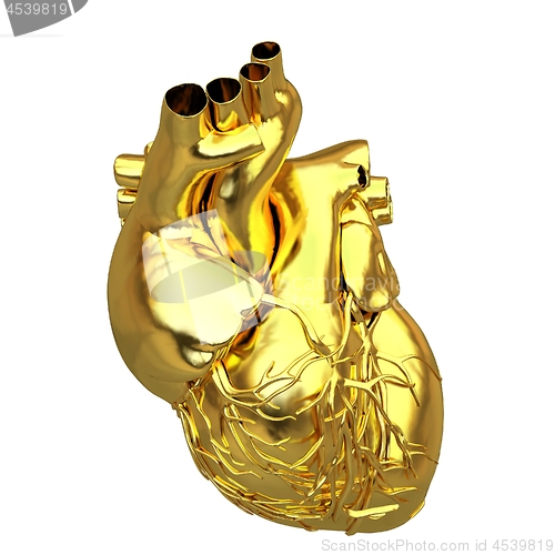 Image of Golden anatomical heart. 3d render