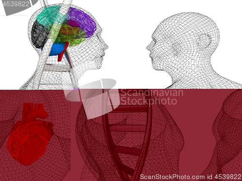 Image of 3D medical background with DNA strands and wire human body model