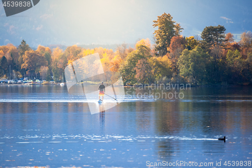 Image of stand up paddling man at autumn the lake