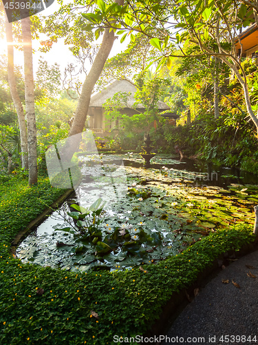 Image of pond and fountain in a garden in Bali Indonesia