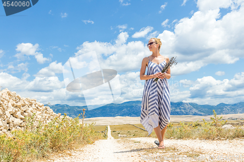 Image of Caucasian young woman in summer dress holding bouquet of lavender flowers while walking outdoor through dry rocky Mediterranean Croatian coast lanscape on Pag island in summertime