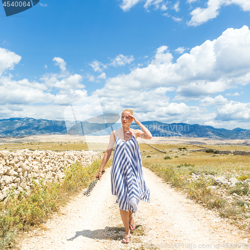 Image of Caucasian young woman in summer dress holding bouquet of lavender flowers while walking outdoor through dry rocky Mediterranean Croatian coast lanscape on Pag island in summertime