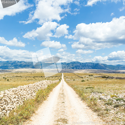 Image of Dirt road leading trough dry rocky Mediterranean coastal lanscape of Pag island, Croatia in summertime