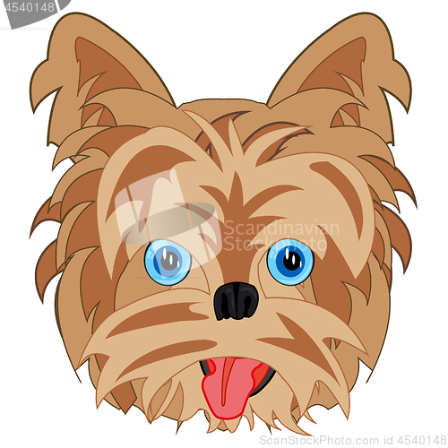 Image of Dog Yorkshire Terrier on white background is insulated