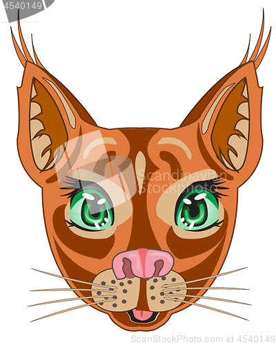 Image of Steepe trot caracal on white background is insulated