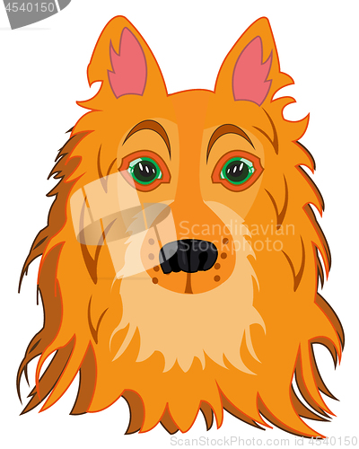 Image of Vector illustration of the mug of the dog of the sort collie