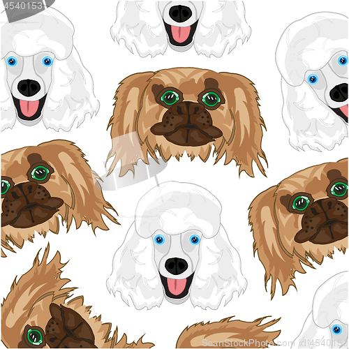 Image of Dogs poodle and pekingese pattern on white background
