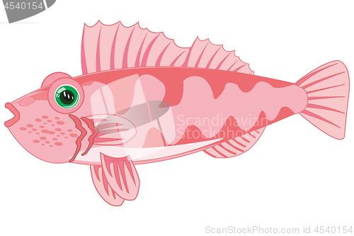 Image of Sea perch on white background is insulated