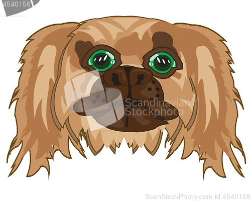 Image of Vector illustration of the mug of the dog pekingese