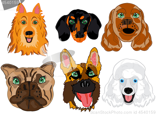 Image of Vector illustration portrait dogs of the varied sorts