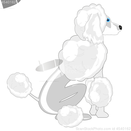 Image of Vector illustration of the sitting dog of the sort poodle